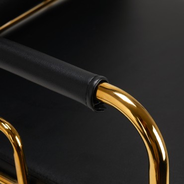 GABBIANO HAIR WASH UNIT PRATO GOLD - BLACK — close-up of the armrest