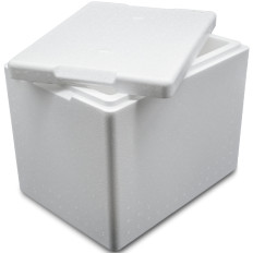 Termobox Thermal Polystyreen Box met cover van optest pzh 395x295x320mm 20L Arpack