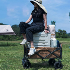 Giardino pieghevole turistico Appartamento per il trasporto Big wheels con serratura - marrone