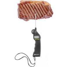 Digital gastronomic thermometer with probe -50-300c