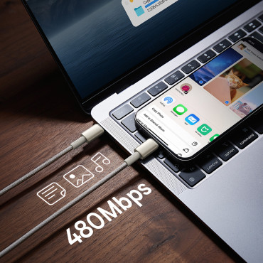 Cabo de tungstênio de cabo USB-C 100W 2M Cable - dourado