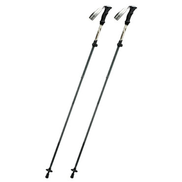 Trekking poliai Nordic Walking Aliumum 110 - 130 cm - ruda