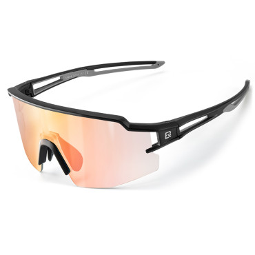 Photochromic glasses with...