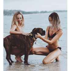 Θήκη για τον εντοπιστή Apple Αεροπορική σιλικόνη για ένα σκυλί ή ένα κολάρο γάτας - μαύρο