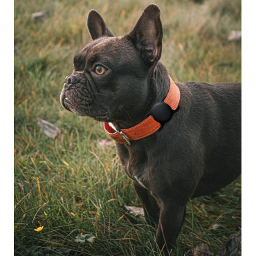 Caso para el localizador Apple Silicona Airtag para un collar de perro o gato - Negro