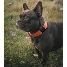 Dėklas locatoriui Apple "Airtag" silikonas šuniui ar katės apykakle - juoda