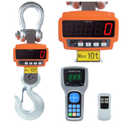 Peso profissional do gancho com controle remoto e 10th toneladas 10t