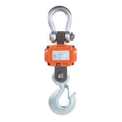 Peso profissional do gancho com controle remoto e 10th toneladas 10t