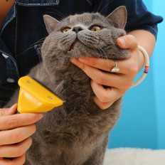 Brush Squash Trimmer per la rimozione di animali per capelli gatto gatto 10 cm