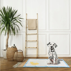 Fasics hygienické rohože pro kočku pro vědu pro čistotu 60 x 40 - 50 ks.