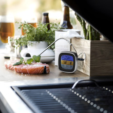 Keukenthermometer voor het vlees van het vlees van de gegrilde grill met een sonde 250 C