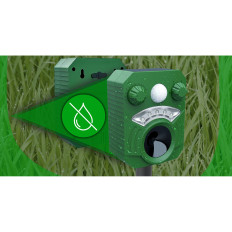 Ultraääni ja valonmittari aurinkoeläimet jyrsijöiden hiiri