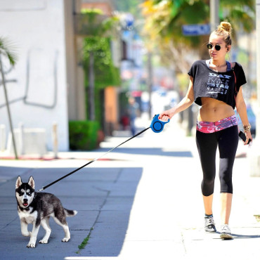 Fita automática de rolo de fita com um bloqueio de cão até 15 kg 5 m - azul