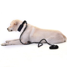 Trela de treinamento para um cão com inserções reflexivas fortes 1,5 m