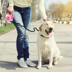 Automatisk hundfilm Lychy med LED-ljus ledde upp till 15 kg 5 m - rosa