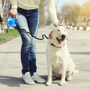 Corda automática para cães, gatos e gatos com travão LED até 15 kg 5 m - azul