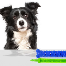 Giocattolo del giocattolo dello spazzolino da denti del denti di Gryzak per un cane