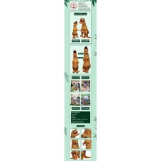 Tyrannosaurus rex costume inflatable anime cosplay funny dinosaur costume for parties, halloween and carnival