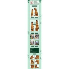 Tyrannosaurus rex costume inflatable anime cosplay funny dinosaur costume for parties, halloween and carnival