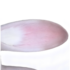 Arc maszk Liu Nyúl Judy latex realista cosplay maszk és téma események