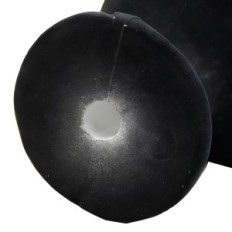 Manekeni no styrofoam galvas uz cepures virsraksta parūkas iedarbībai