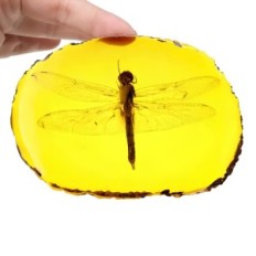 Libellula in ambra imitazione ambra con un ornamento di insetti realistico con insetto affondata, ideale per la raccolta e la sc