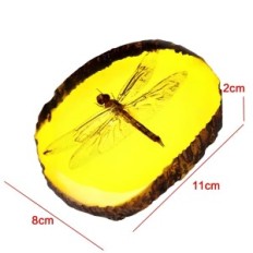 Libellule dans l'ambre d'imitation ambrée avec un ornement réaliste d'insectes avec insecte coulé, idéal pour la collecte et la 