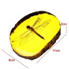 Dragonfly u jantarnom imitaciji jantar s realnim insektom ukras s potopljenim kukcima, idealnim za prikupljanje i znanost