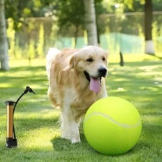 Didelis teniso kamuolys šuo Dog 24cm interaktyvus žaislas atsparus kramtoms didelių lenktynių