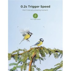 Foresta di Cychama Footopulaka Ceyomur CY65 4K WiFi 40MP