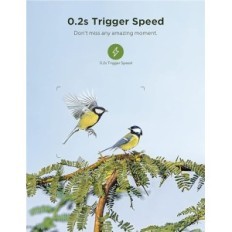 CYCHAMA FOREST FLOTPULÁCIA CEYOMUR CY65 4K WIFI 40MP