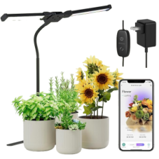 Intelligent light Diivoo for growing plants in black rooms