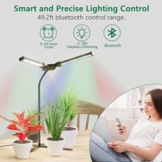 Intelligent Light Diivoo för växande växter i svarta rum