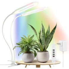 Intelligent Light Diivoo kasvatamiseks taimede kahekohaliste toad