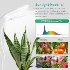 Intelligent light Diivoo for growing plants in double rooms