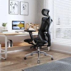 Sedia da ufficio Sihoo con braccioli 4D, sedile regolabile (nero)