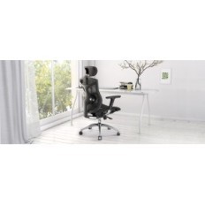 Sihoo Bürostuhl mit 4D Armlehnen, einstellbarer Sitz (schwarz)