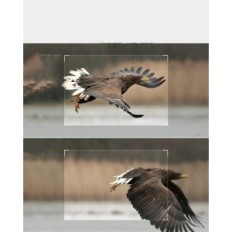 Lovska kamera CEOMUR 4K WiFi 40MP Solar z U3 SD 32GB Nočni vid IP66