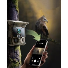 Lovecký fotoaparát CEOMUR 4K WiFi 40mp Solar s U3 SD 32GB Night Vision IP66