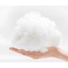 Plush Lemmikloomad 100 * 20cm helehall