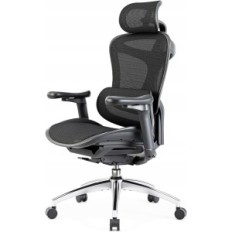 Seconda sedia da ufficio ergonomica Sihoo Doro C300 nero