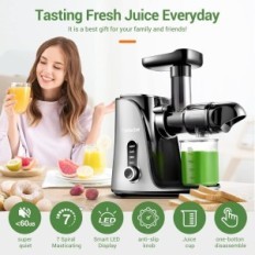 Juicer för frukt och grönsaker Amzchef 2-Speed - högpresterande - grå