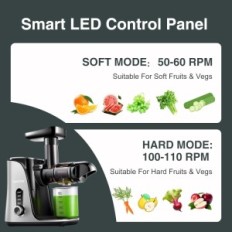 Juicer voor fruit en groenten Amzchef 2-speed - High-Performance - Gray