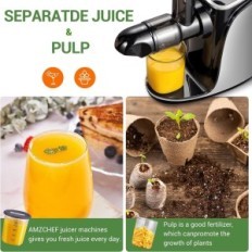 Juicer voor fruit en groenten Amzchef 2-speed - High-Performance - Gray