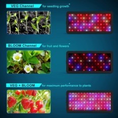 Lampada a LED per coltivare Plant Phlizon 900W con SMD LED Completo Spectrum per piante utilizzate