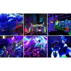 UV halogena žarulja ultraljubičasto svjetlo 100 u Everbeam crno