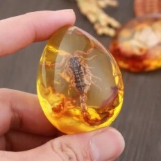 Scorpio amber imitatsioonikombi manustamisel kaunistamisega putukatega. Hariduse figuriini vaigu