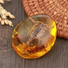 Scorpio amber imitatsioonikombi manustamisel kaunistamisega putukatega. Hariduse figuriini vaigu