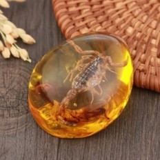 Scorpio en imitation ambrée ambre avec insecte d'ornement. Résine de figurine éducative