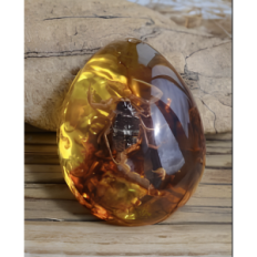 Skorpioni keltaisen jäljitelmällä Amber Ornamentation hyönteinen. Koulutushakuhartsi